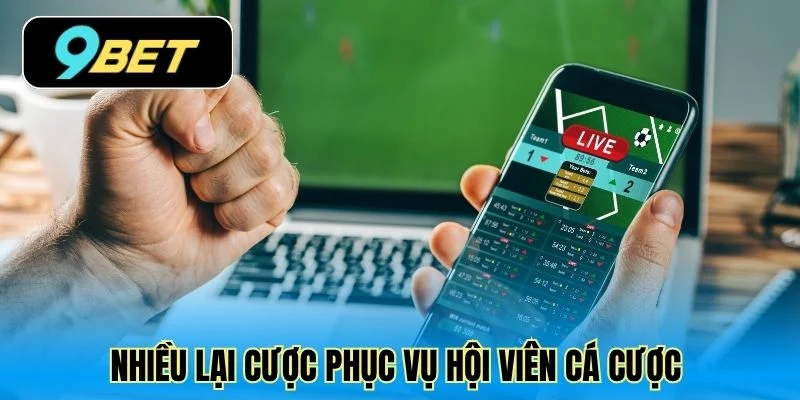 Nhiều lại cược phục vụ hội viên cá cược 