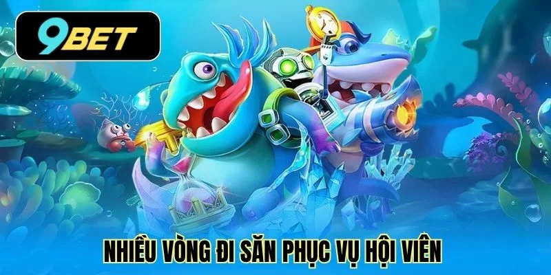 Nhiều vòng đi săn phục vụ hội viên 