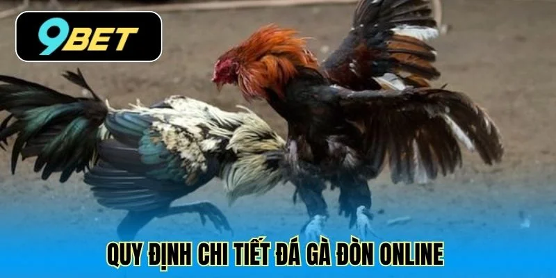 Quy định chi tiết đá gà đòn online 